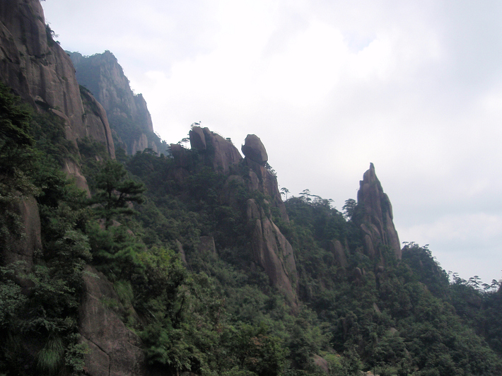 P9054247.jpg