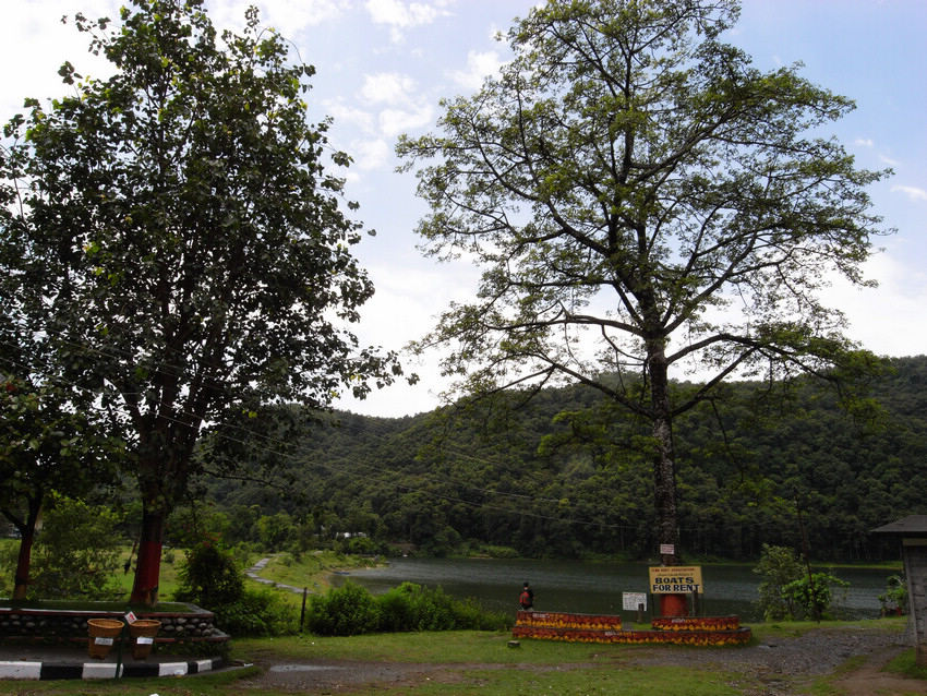 R0030304.jpg
