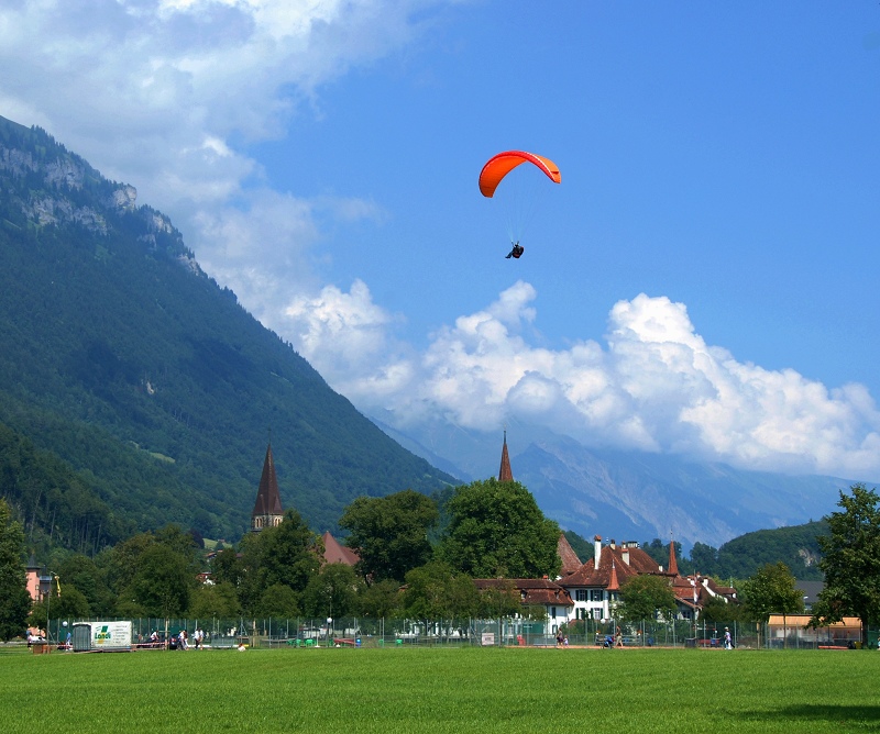 DSC_0462.jpg