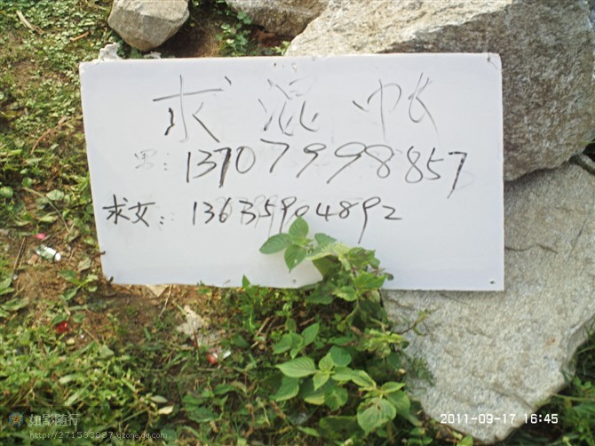 2011082247224625.jpg