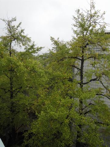 ������С ��ת DSC01249.jpg