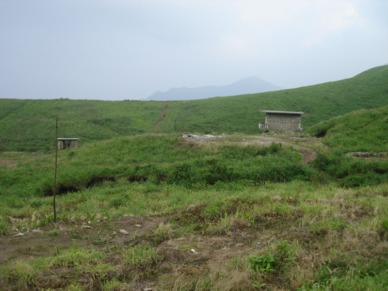 DSC08536.JPG