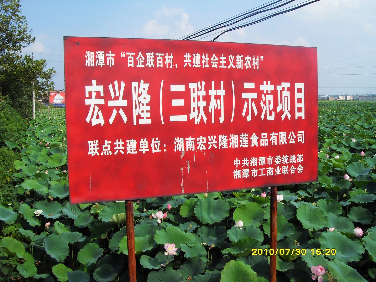 SDC15962.jpg
