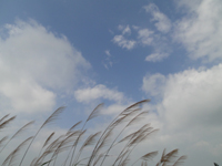 DSC04585.jpg